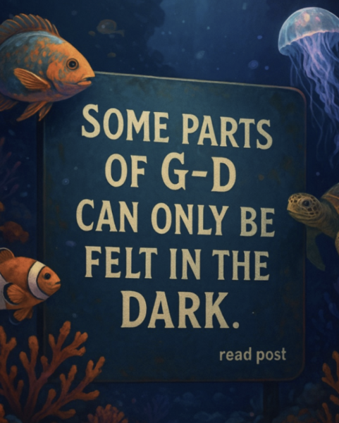 We’ll Miss The Darkness