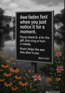 Why big moments of awe fade so fast.